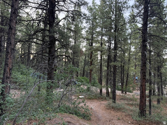 KOLOB PINES - Land