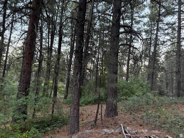 KOLOB PINES - Land