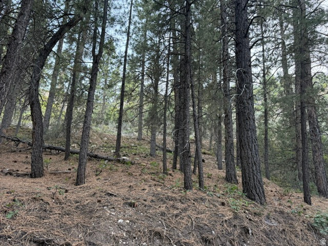 KOLOB PINES - Land