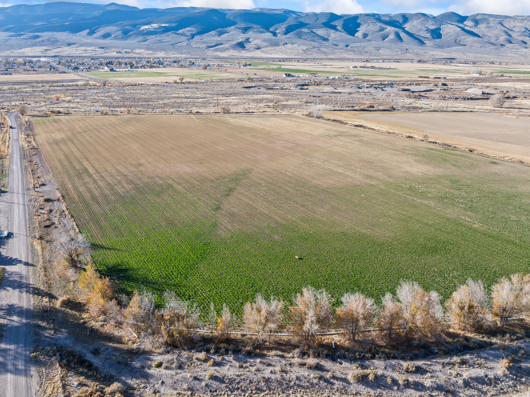 Discover peace, productivity, and wide-open space with this beautiful 22.42-acre farm located in just east of Joseph. With road frontage on two sides, this property offers easy access and flexibility for building, farming, or recreation.  This great-producing farm is ideal for crops, pasture, or livestock-perfect for those seeking a rural lifestyle or a personal retreat surrounded by Utah's scenic mountain views. Power is nearby, making future improvements or building your dream home straightforward and convenient.  Whether you're looking to expand your agricultural operations, start a hobby farm, or create a private getaway, this property provides endless potential. Enjoy country living at its finest-make this your own slice of heaven for you, your family, and your animals!  Property Highlights:  22.42 acres of fertile, productive farmland  Dual road frontage for convenient access  Power located close to the property  Ideal for farming, livestock, or building your dream retreat  Peaceful rural setting with stunning views  Don't miss this opportunity to own a beautiful piece of land in the quiet, friendly community of Joseph, Utah.