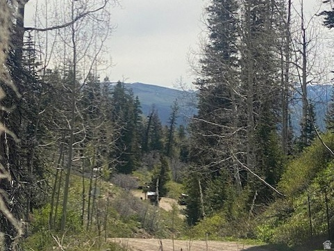 Your Mountain Escape Awaits - Utah's Best Kept Secret-- Engineering & House Plans Included? Welcome to Tollgate Canyon and the Pine & Forest Meadow's Ranch - one of Summit County's most coveted and private residential destinations. Nestled in the heart of Northern Utah's breathtaking mountain landscape, this is the retreat you've been waiting for. Just off Exit 150 on I-80 heading east, directly across from Promontory, the location couldn't be more ideal. You're minutes from the world-class skiing, the Uinta's, Blue-Sky resort and the beloved High West Distillery, yet only 35 minutes from Salt Lake City International Airport and the vibrant energy of downtown SLC. Tollgate Canyon gives you the rare gift of true seclusion from city life. This pristine 1.01-acre parcel offers the perfect canvas to build your dream mountain home. Sitting only 2 parcels from a secondary plow route this parcel could have year-round access. Surrounded by nature in every direction, the land is as gorgeous as it is private - clean air, towering trees, and the kind of quiet that restores the soul.  Come home to the mountains.