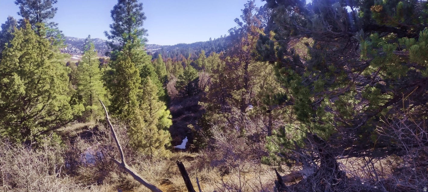 BRYCE SUMMIT ESTATES - Land