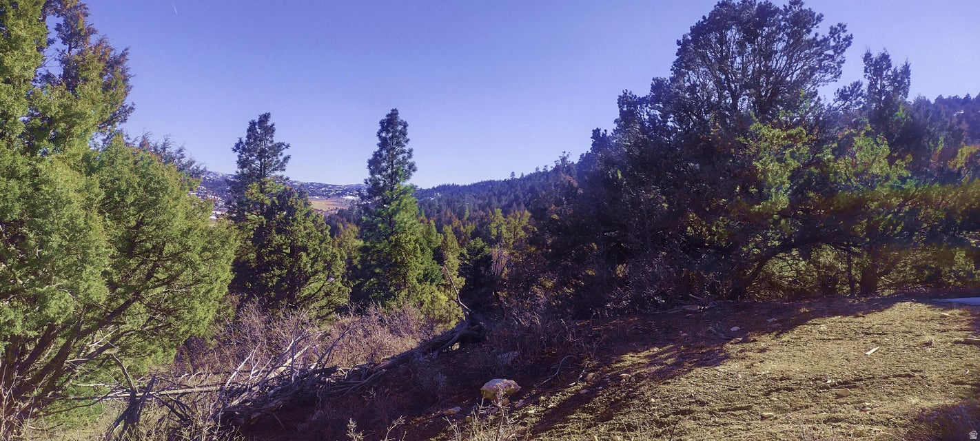BRYCE SUMMIT ESTATES - Land