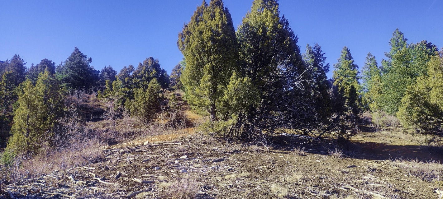 BRYCE SUMMIT ESTATES - Land