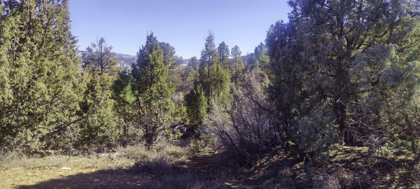 BRYCE SUMMIT ESTATES - Land