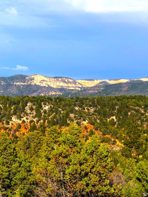 BRYCE SUMMIT ESTATES - Land