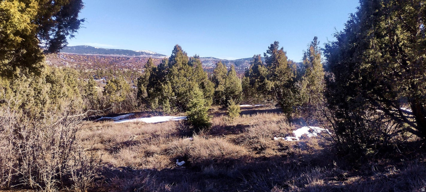 BRYCE SUMMIT ESTATES - Land