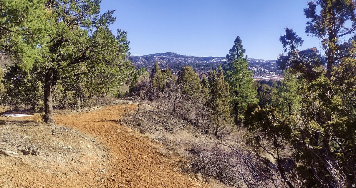 BRYCE SUMMIT ESTATES - Land