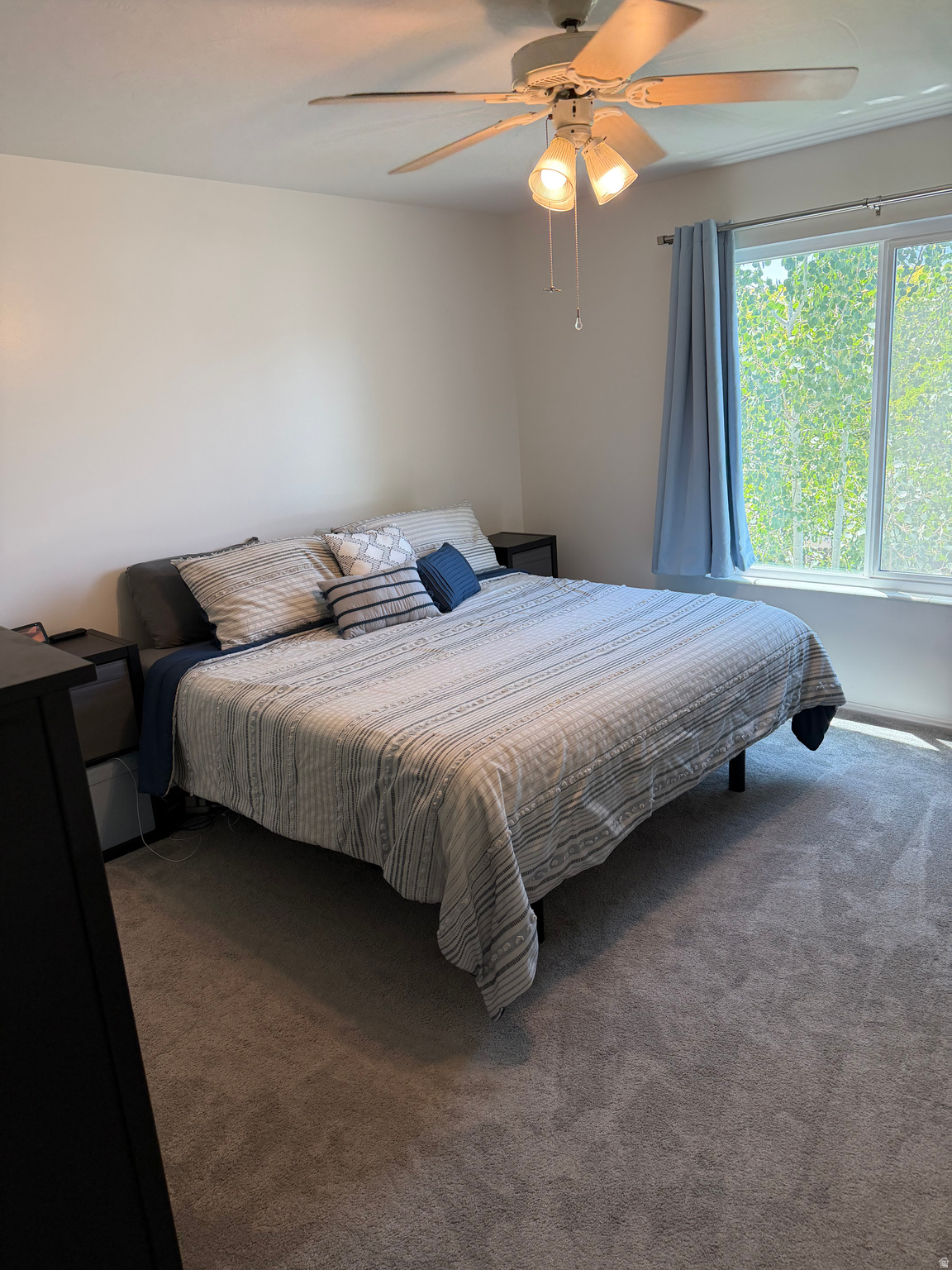 PINES - Residential