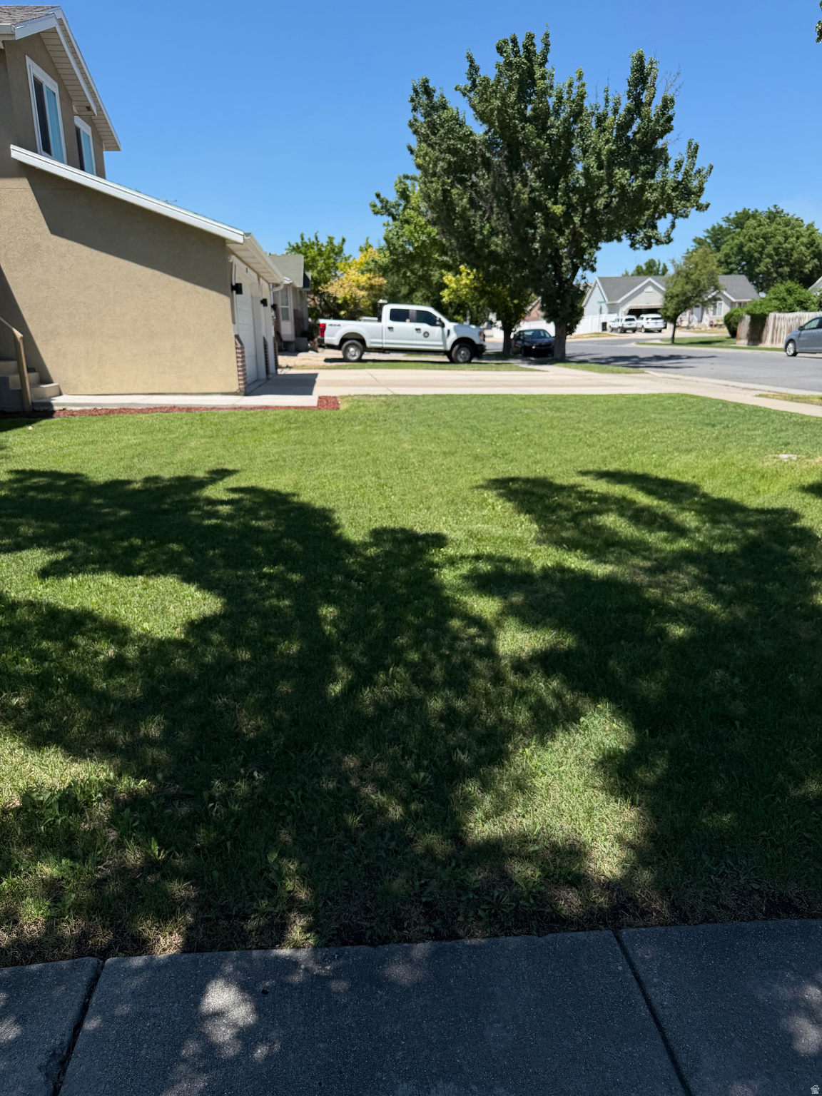 PINES - Residential