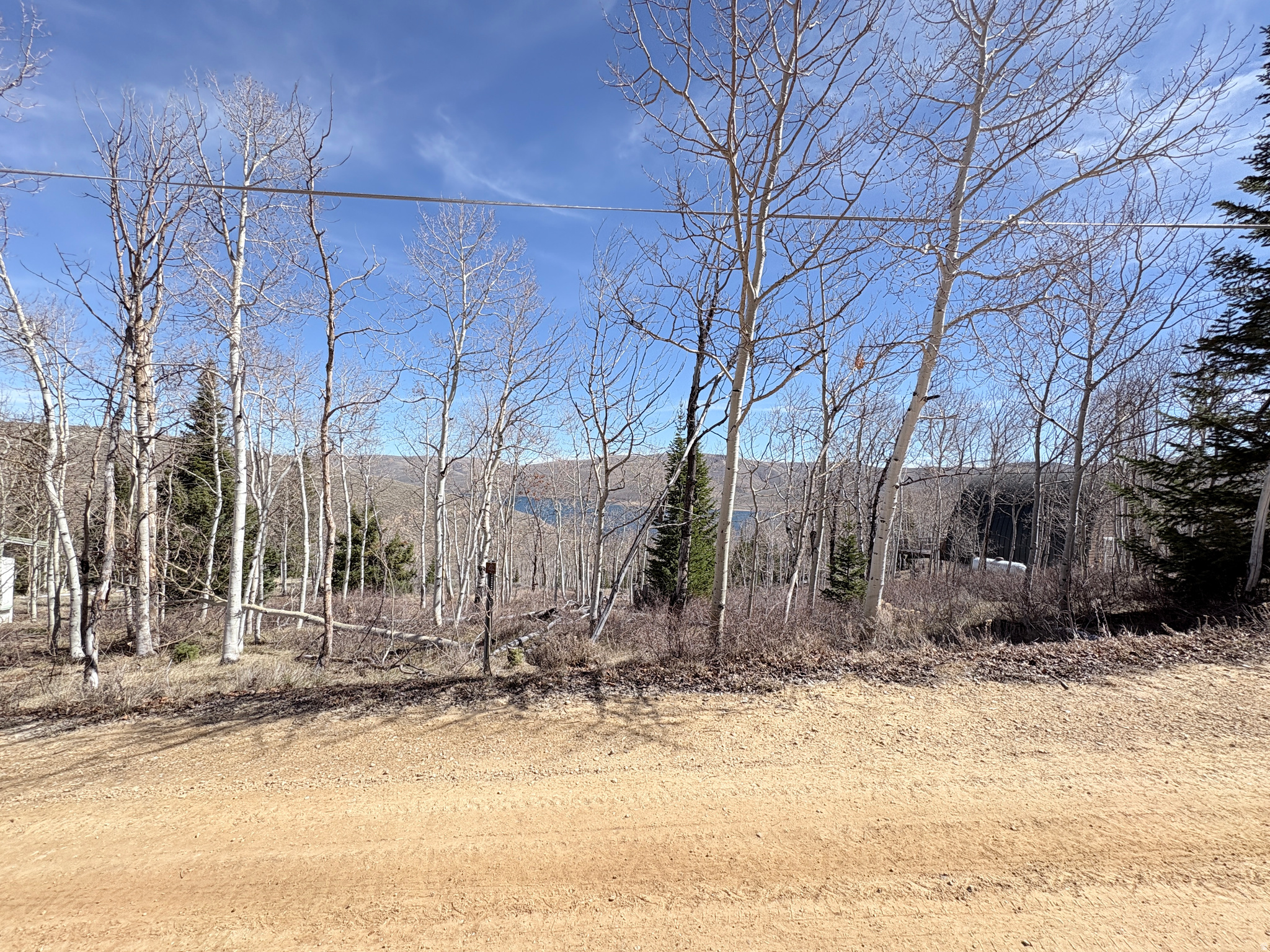 SCOFIELD MOUNTAIN HOMES - Land
