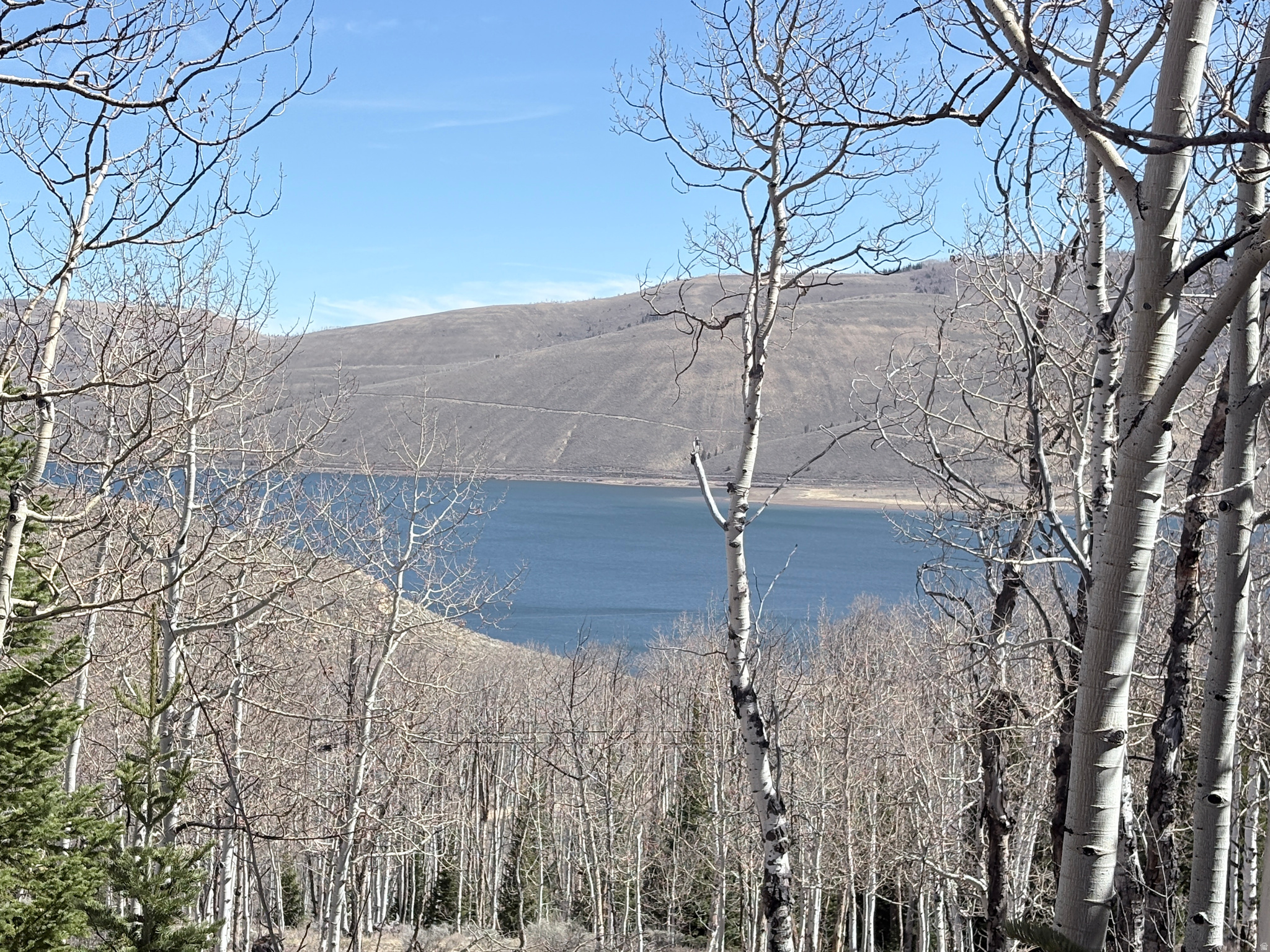 Rare opportunity to own a .36-acre slice of mountain paradise in the Scofield Mountain Homes Subdivision. Tucked among stunning aspen trees, this lot offers peaceful seclusion along with beautiful views of Scofield Reservoir-perfect for those looking to escape the hustle and reconnect with nature.  Whether you're dreaming of a full-time mountain home or the ultimate summer getaway, this property is ready to bring your vision to life. Zoned for a single-family residence or vacation retreat, it offers flexibility to create exactly what you've been looking for. **** Located just under two hours from Salt Lake City International Airport, you'll feel a world away without being too far from home. Spend your days exploring nearby Scofield State Park, boating or fishing on the reservoir, and enjoying endless outdoor recreation. **** In the winter, access becomes part of the adventure with snowmobile-only entry-turning your getaway into a true alpine experience. **** If you've been waiting for that perfect mountain lot, this is the one.