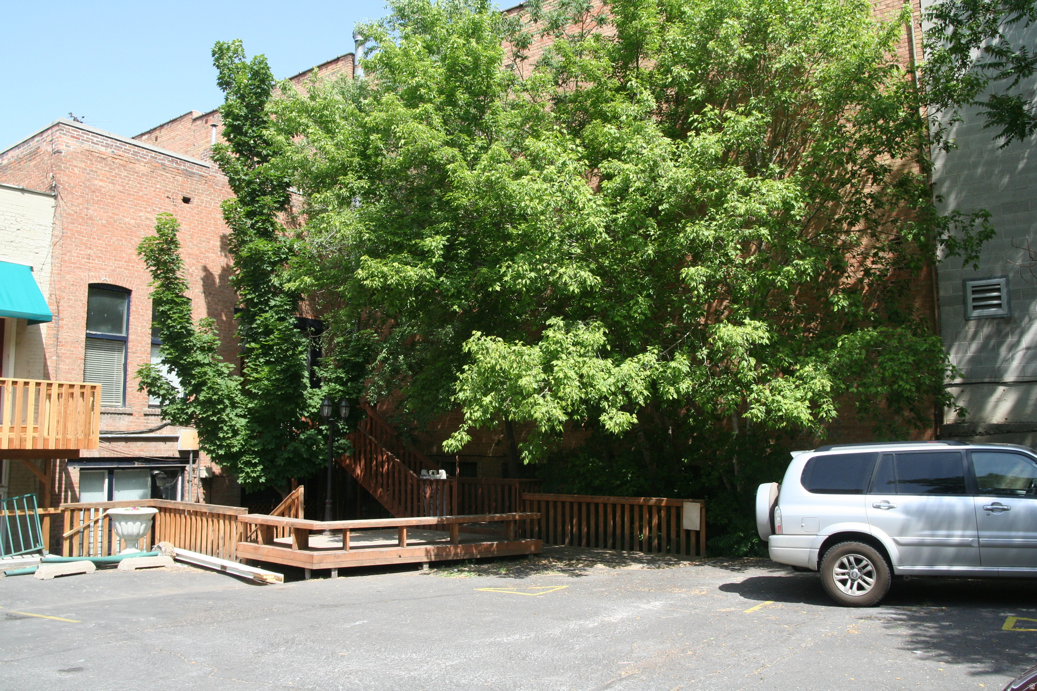 Main image without alt text