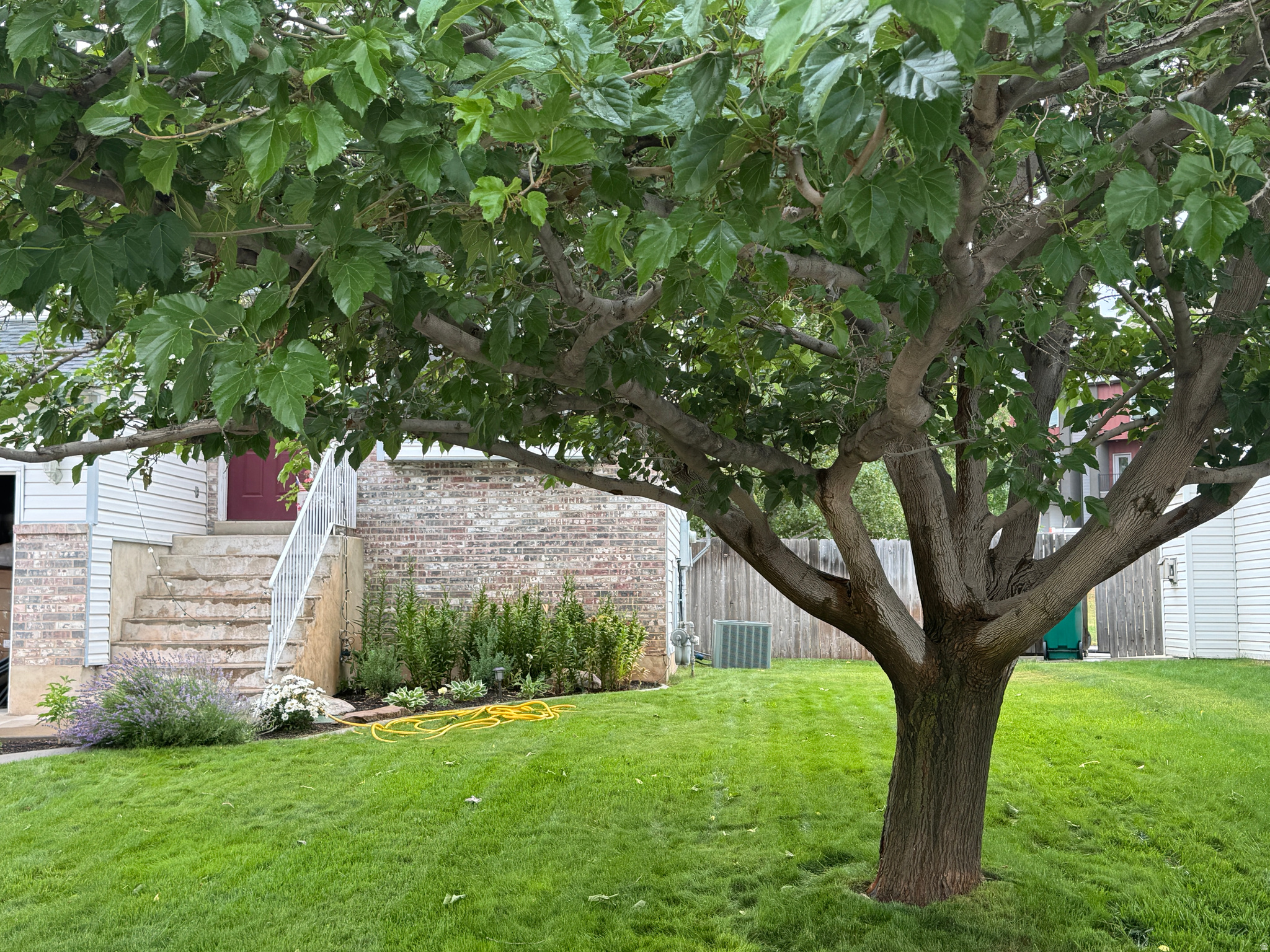 WESTLAKE VILLAGE - Residential