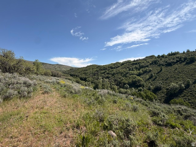 BEAVER CREEK - Land