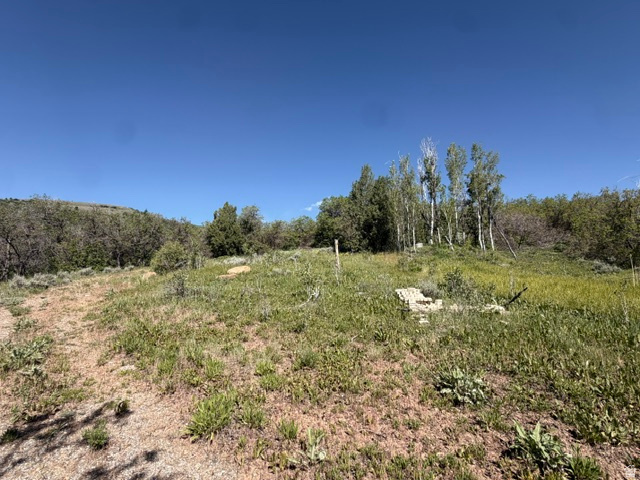 BEAVER CREEK - Land