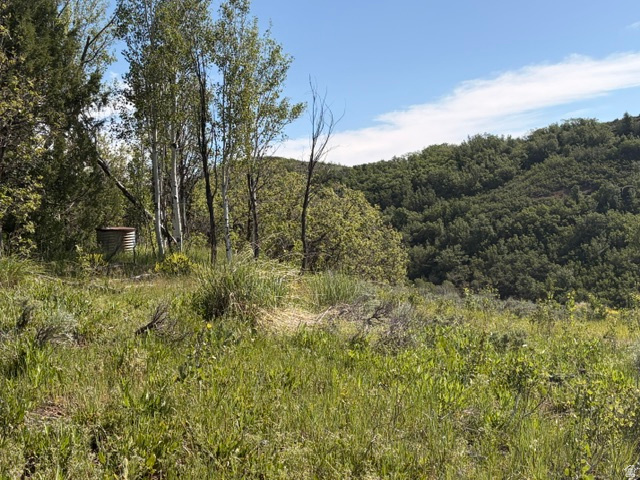 BEAVER CREEK - Land