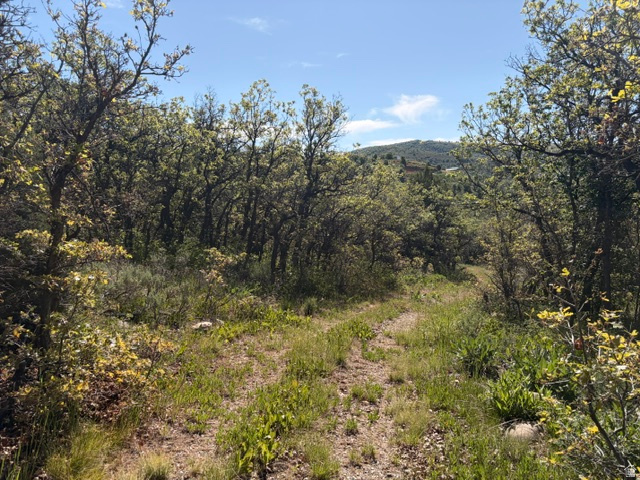 BEAVER CREEK - Land