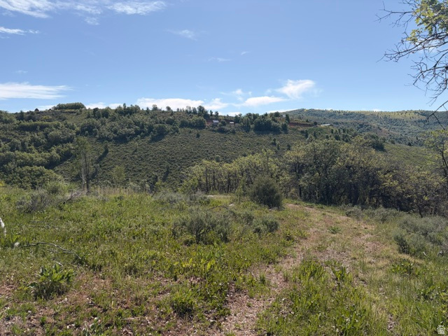 BEAVER CREEK - Land