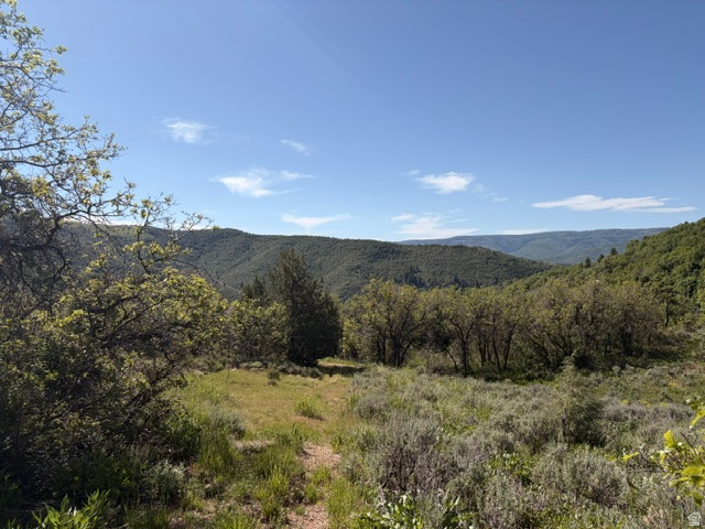 10 acres (2 lots) located high in Beaver Creek Estates with stunning panoramic views across the valley. The property features several natural terraces that provide excellent building sites and versatile usage options that are out of sight of the main road. Includes parcels 23-013-0077 and 23-013-0106. (5 acres each.)
