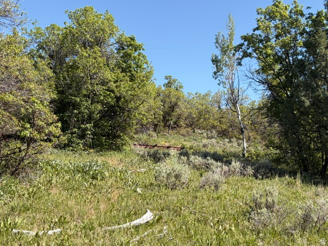 BEAVER CREEK - Land