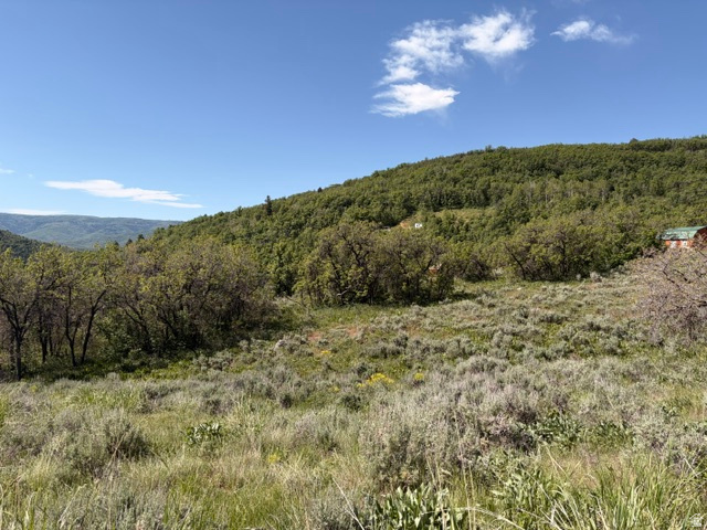 BEAVER CREEK - Land