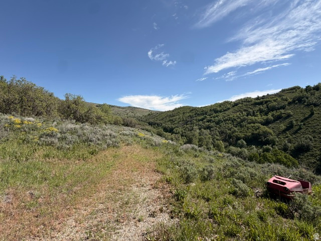 BEAVER CREEK - Land