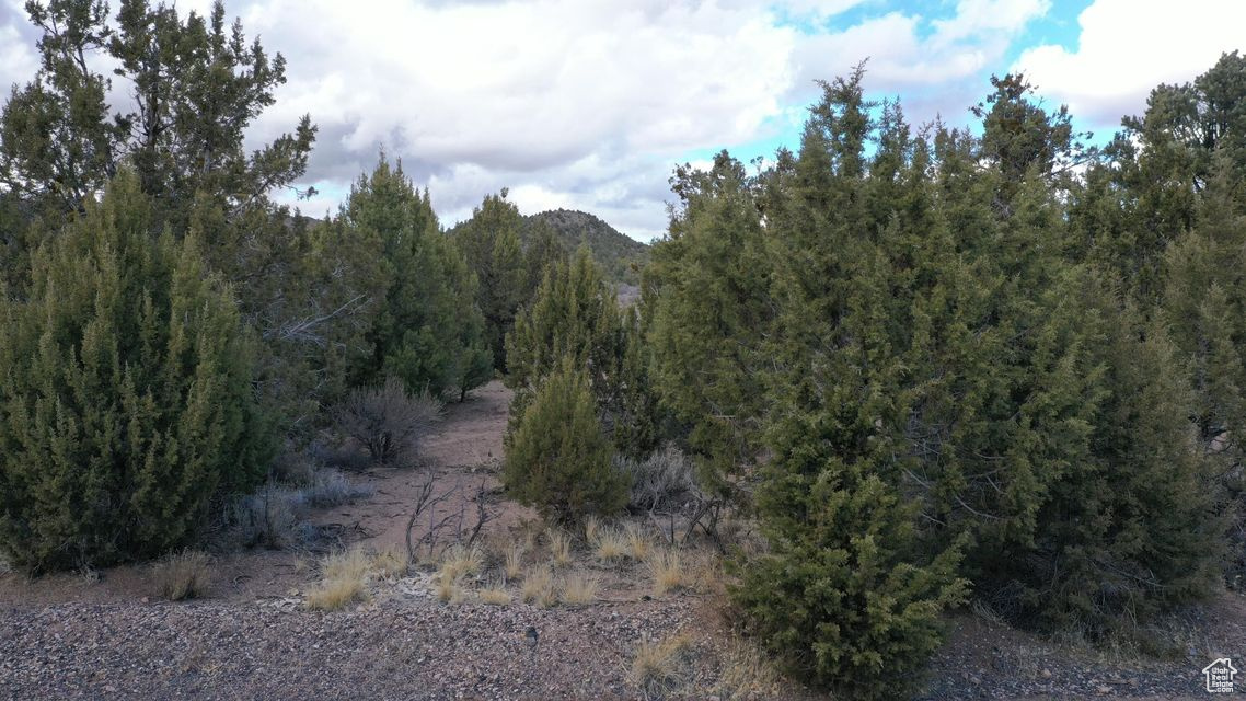 DIXIE DEER ESTATES - Land
