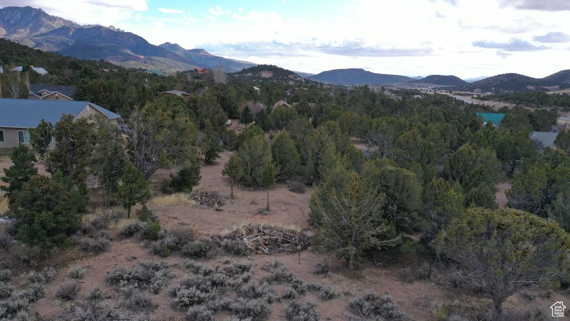 DIXIE DEER ESTATES - Land