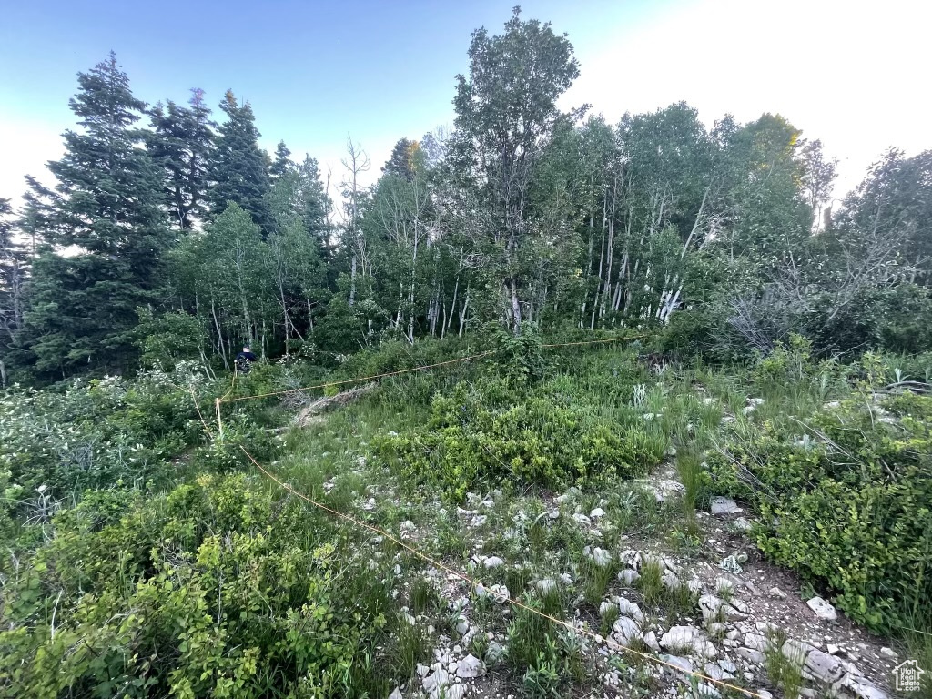 SKYLINE MOUNTAIN RES - Land