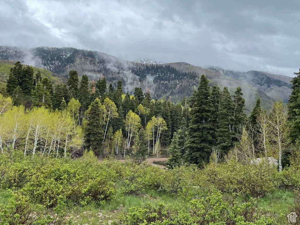SKYLINE MOUNTAIN RES - Land