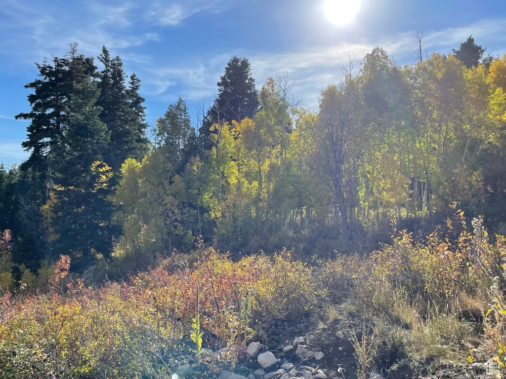 SKYLINE MOUNTAIN RES - Land