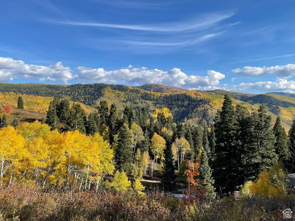 SKYLINE MOUNTAIN RES - Land