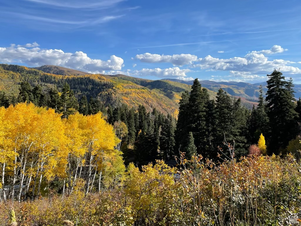 SKYLINE MOUNTAIN RES - Land