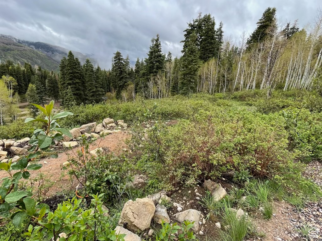 SKYLINE MOUNTAIN RES - Land