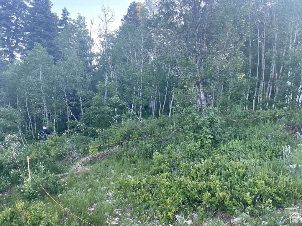 SKYLINE MOUNTAIN RES - Land