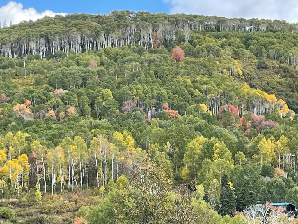 SKYLINE MOUNTAIN RES - Land