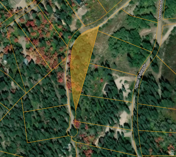 SKYLINE MOUNTAIN RES - Land
