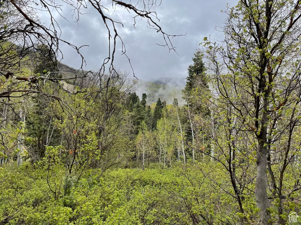 SKYLINE MOUNTAIN RES - Land