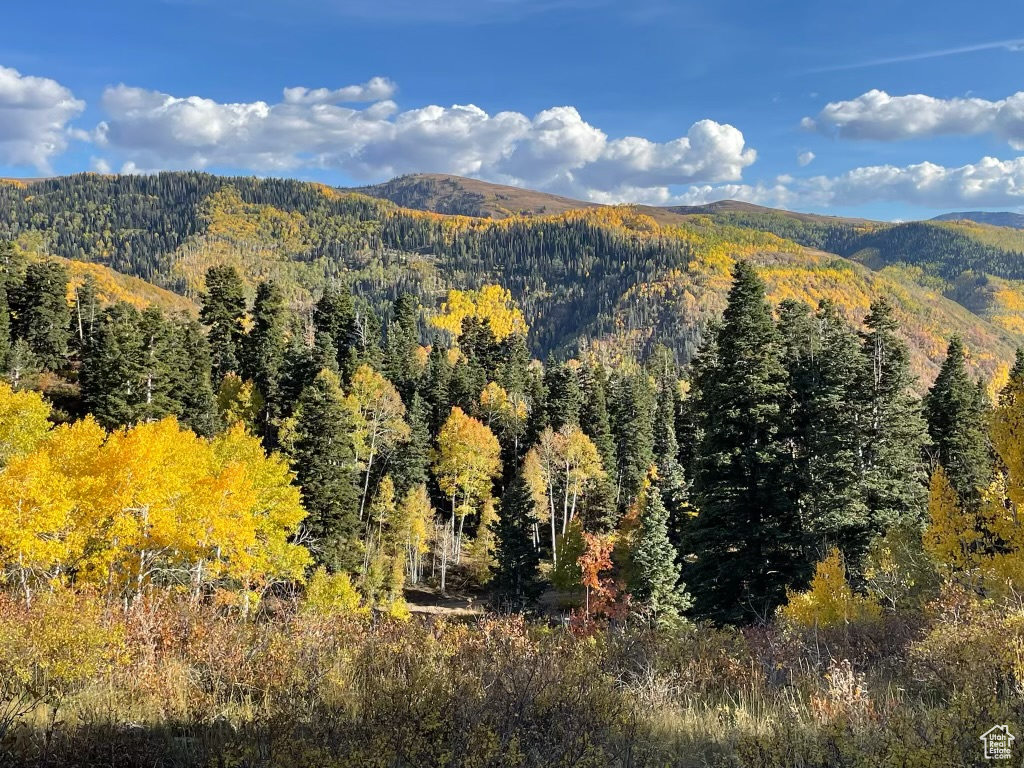 SKYLINE MOUNTAIN RES - Land
