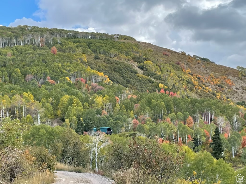 SKYLINE MOUNTAIN RES - Land