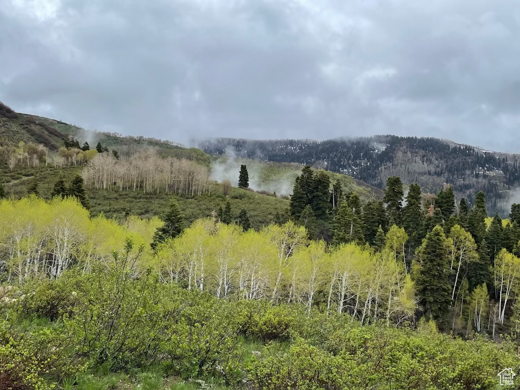 SKYLINE MOUNTAIN RES - Land