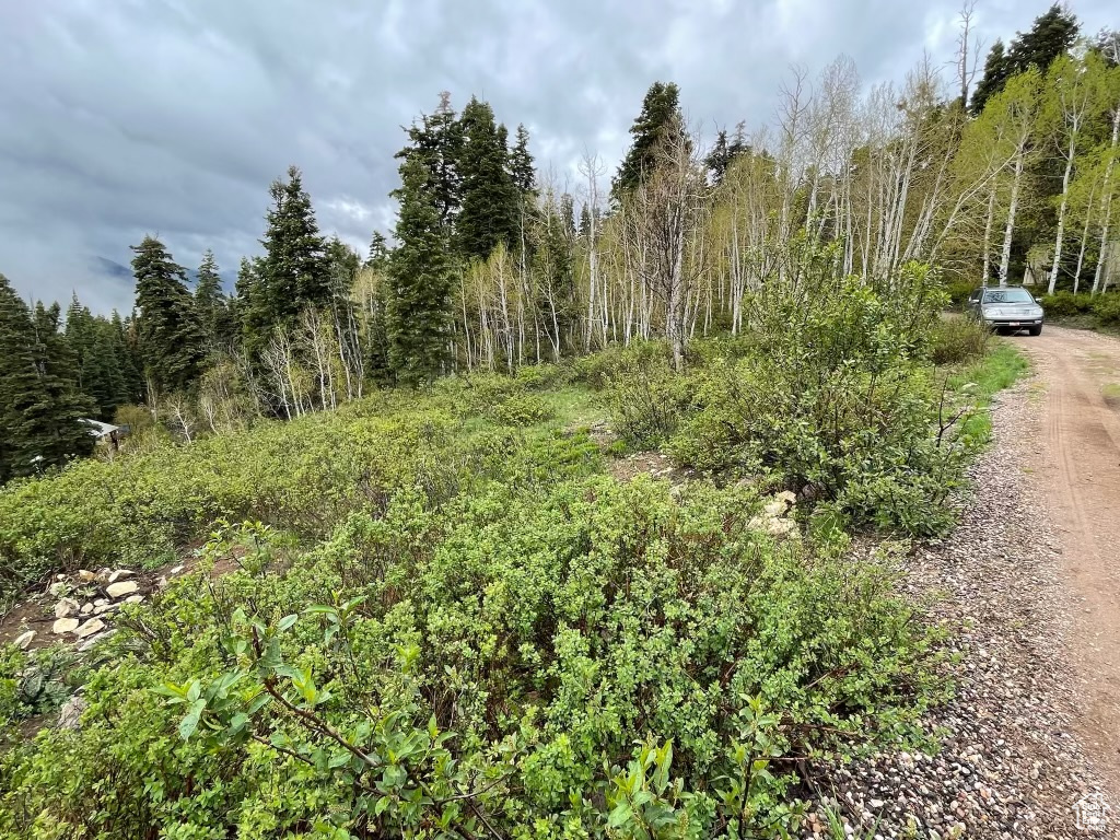 SKYLINE MOUNTAIN RES - Land