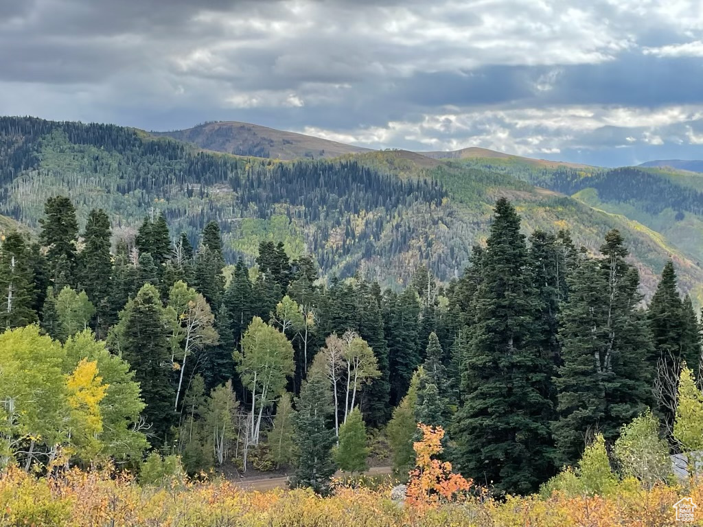 SKYLINE MOUNTAIN RES - Land