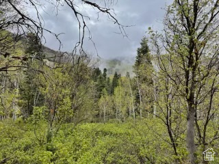 SKYLINE MOUNTAIN RES - Land