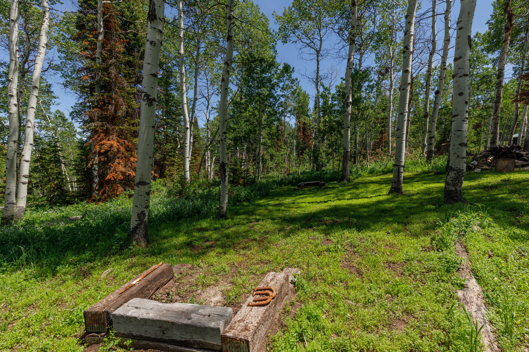 SCARE CANYON RANCH ASSC. - Land