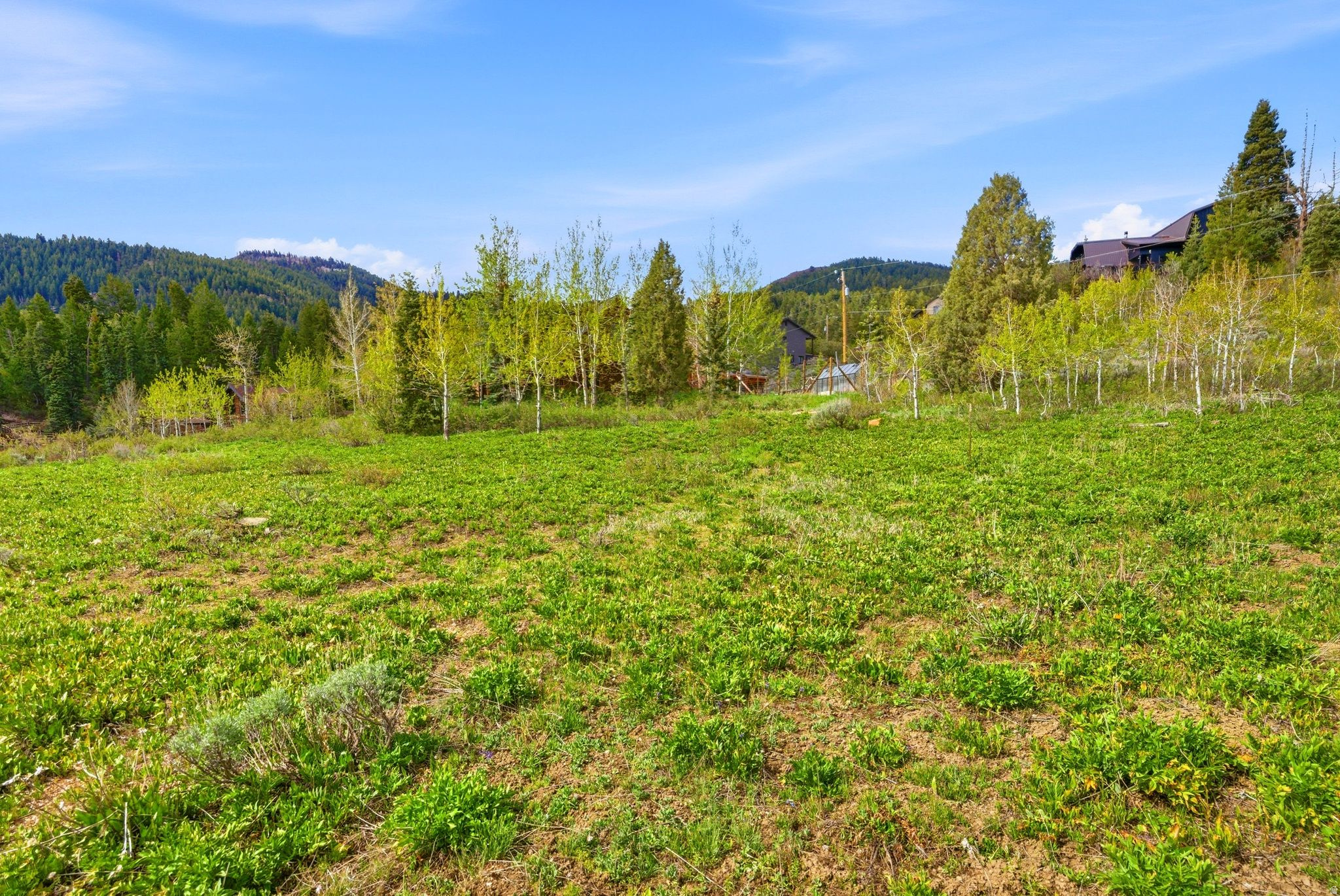 TIMBERLINE - Residential