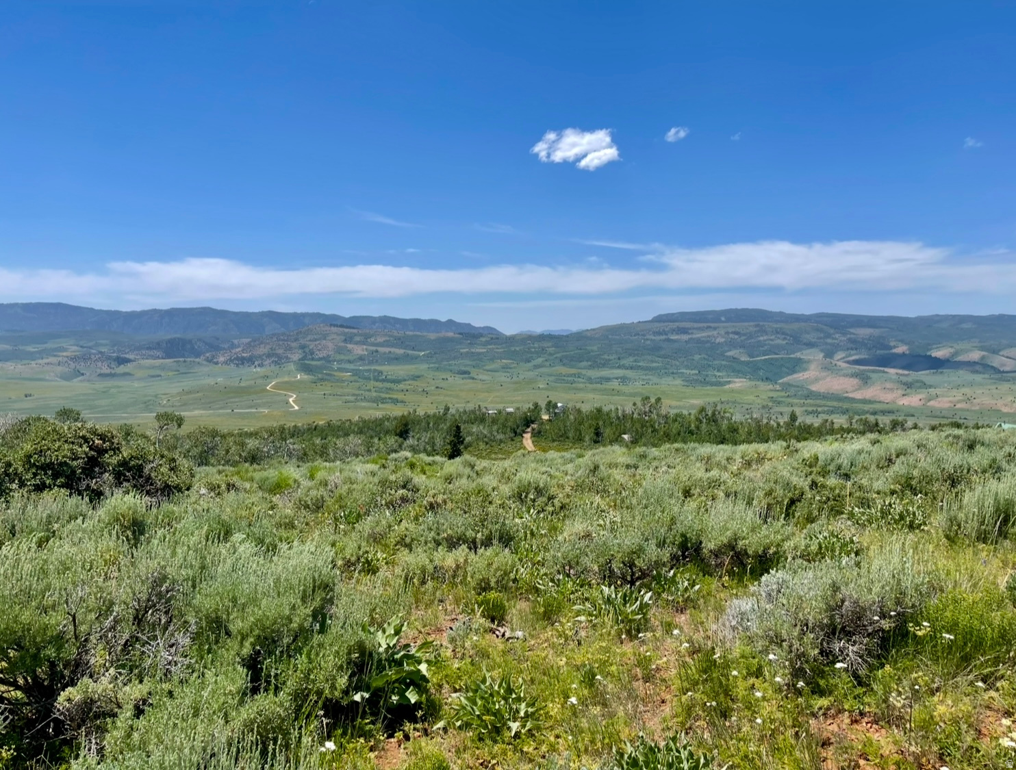 HARDWARE PARK MOUNTAIN ESTATES - Residential