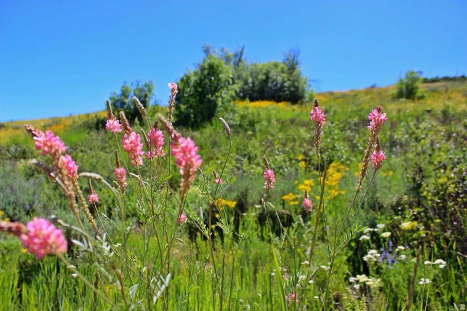 HARDWARE PARK MOUNTAIN ESTATES - Residential