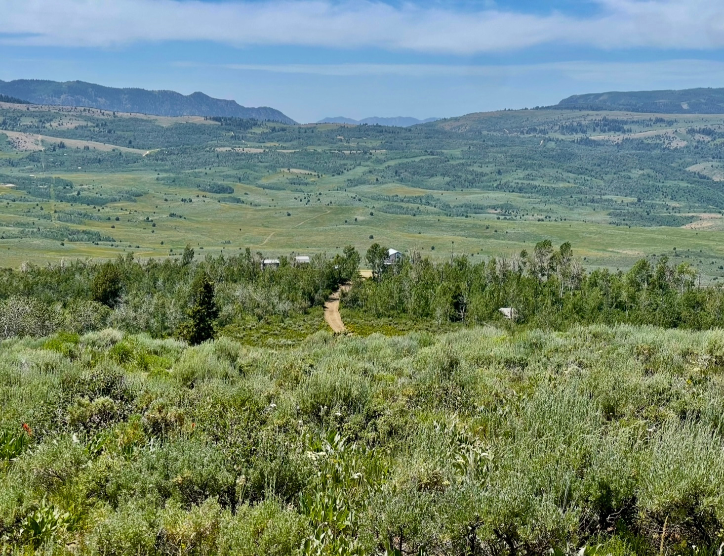 HARDWARE PARK MOUNTAIN ESTATES - Residential
